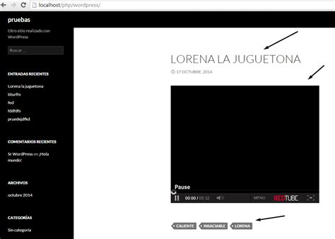 redtube wordpress